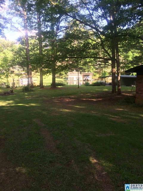 24 County Road 734, Clanton, AL 35046 photo 3