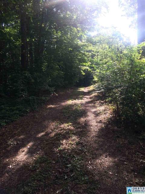 24 County Road 734, Clanton, AL 35046 photo 26