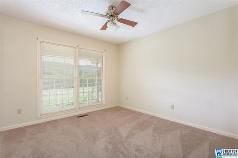 15701 Remlap Dr, Remlap, AL 35133 photo 23