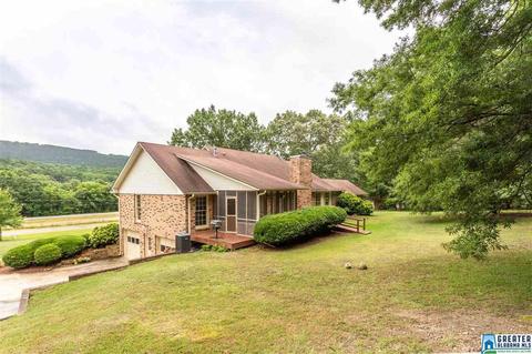 15701 Remlap Dr, Remlap, AL 35133 photo 36