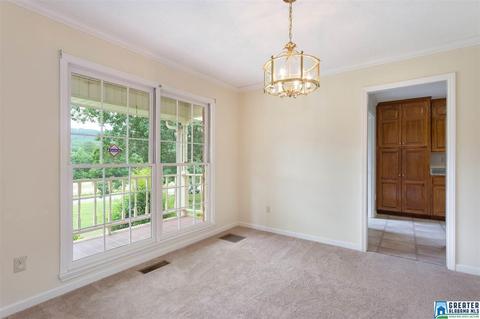 15701 Remlap Dr, Remlap, AL 35133 photo 15