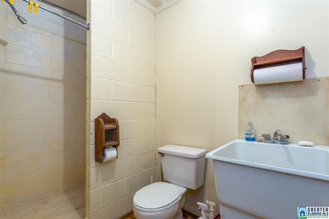 15701 Remlap Dr, Remlap, AL 35133 photo 31
