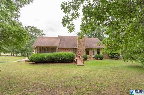 15701 Remlap Dr, Remlap, AL 35133 photo 37