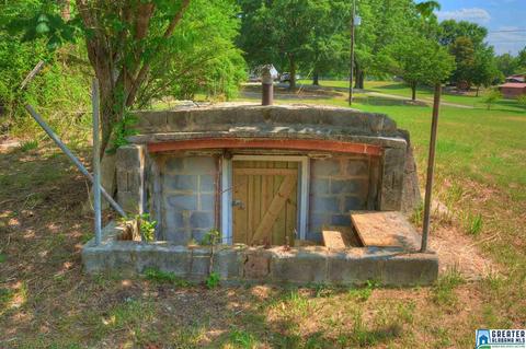 170 Staton Ln, Locust Fork, AL 35097 photo 8