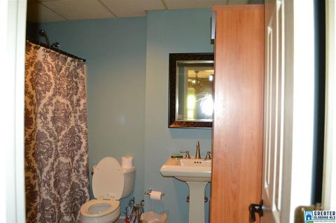 357 Valley Grove Rd, Remlap, AL 35133 photo 23