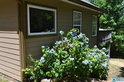 357 Valley Grove Rd, Remlap, AL 35133 photo 38