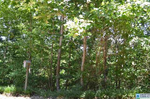 357 Valley Grove Rd, Remlap, AL 35133 photo 30