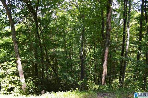357 Valley Grove Rd, Remlap, AL 35133 photo 36