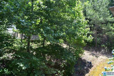 357 Valley Grove Rd, Remlap, AL 35133 photo 29