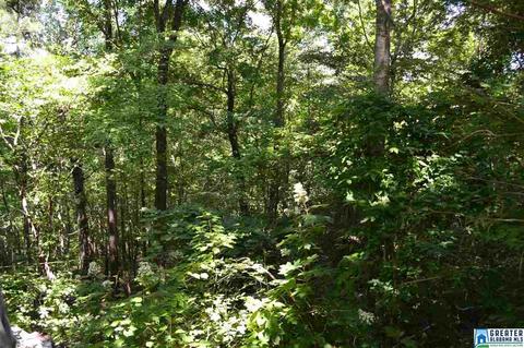357 Valley Grove Rd, Remlap, AL 35133 photo 33