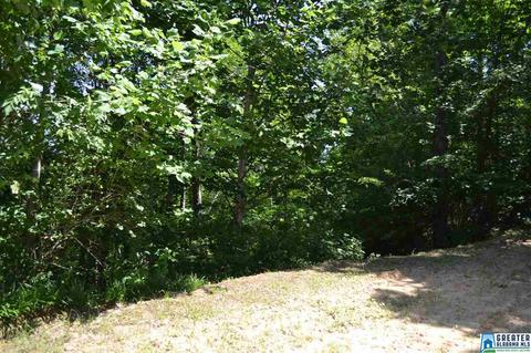 357 Valley Grove Rd, Remlap, AL 35133 photo 31