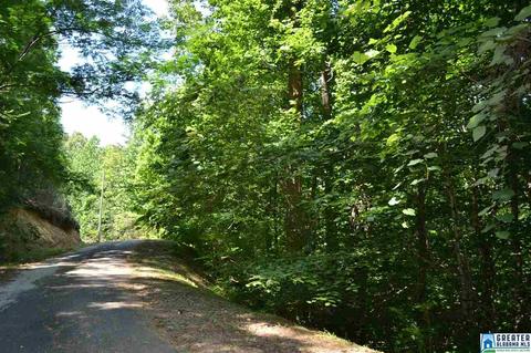 357 Valley Grove Rd, Remlap, AL 35133 photo 40