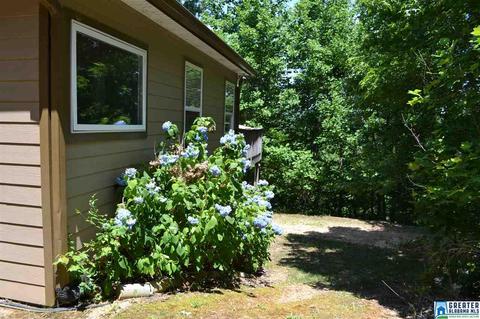 357 Valley Grove Rd, Remlap, AL 35133 photo 34