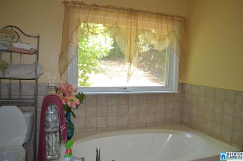 357 Valley Grove Rd, Remlap, AL 35133 photo 21