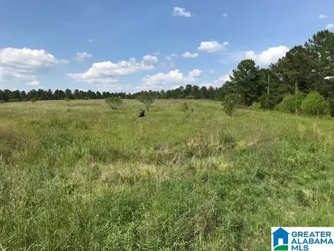 0 Sanie Road Apt 878- Acres #878+/- ACRES, Odenville, AL 35120