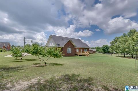 155 Hope St, Clanton, AL 35045 photo 46