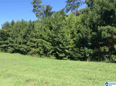 lot1 Indian Gate Cir #1, Birmingham, AL 35242