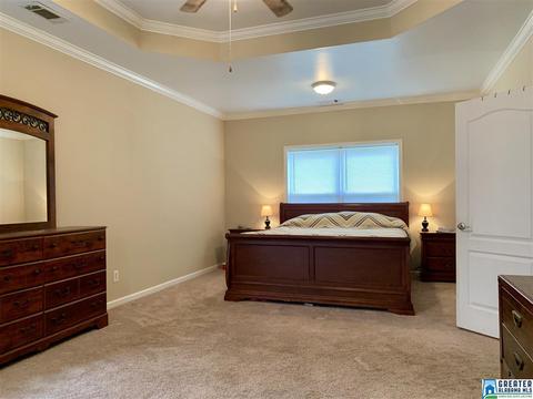 177 Maple Leaf Dr, Lincoln, AL 35096 photo 12