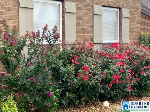 177 Maple Leaf Dr, Lincoln, AL 35096 photo 4