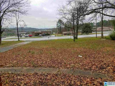 2308 2nd Ave E, Oneonta, AL 35121 photo 16