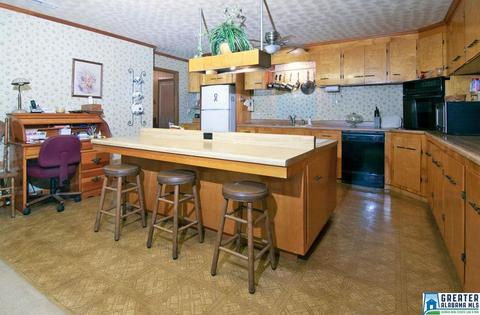 231 County Road 2012, Delta, AL 36258 photo 9