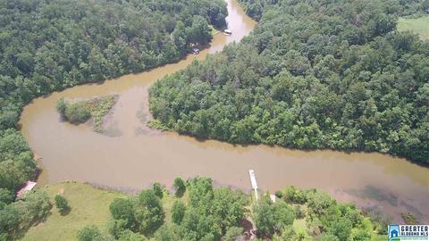 231 County Road 2012, Delta, AL 36258 photo 23