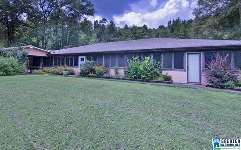 231 County Road 2012, Delta, AL 36258 photo 1