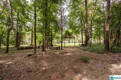 2624 Murphrees Valley Rd, Springville, AL 35146 photo 43