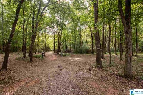 2624 Murphrees Valley Rd, Springville, AL 35146 photo 42