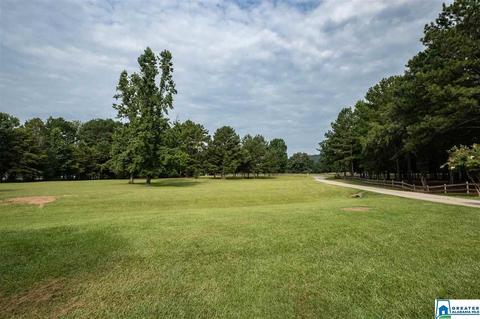 2624 Murphrees Valley Rd, Springville, AL 35146 photo 47