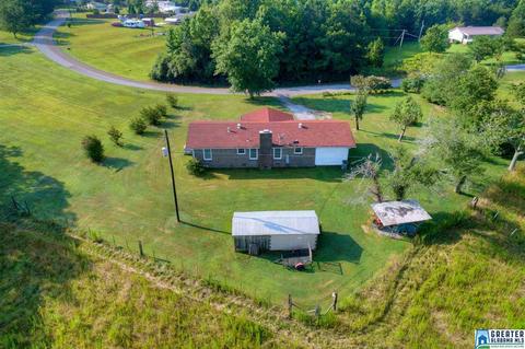 1164 Lamon Chapel Loop, Jasper, AL 35503 photo 21