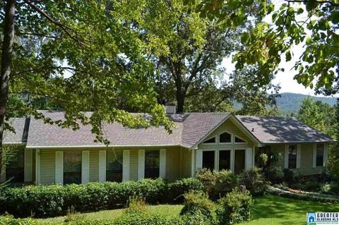 164 Tiny Kingdom Rd, Remlap, AL 35133 photo 1