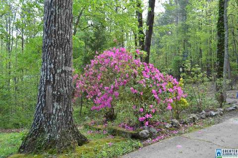 164 Tiny Kingdom Rd, Remlap, AL 35133 photo 8