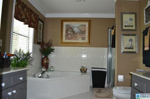 164 Tiny Kingdom Rd, Remlap, AL 35133 photo 29