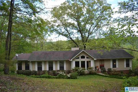 164 Tiny Kingdom Rd, Remlap, AL 35133 photo 2