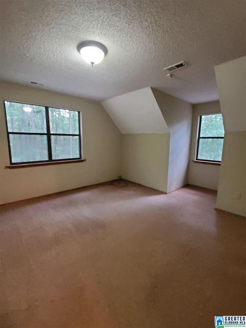 13029 Allison Dr, Lake View, AL 35111 photo 11