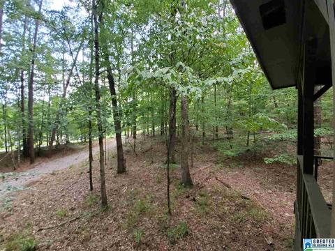 13029 Allison Dr, Lake View, AL 35111 photo 25