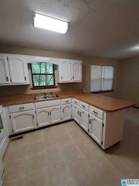 13029 Allison Dr, Lake View, AL 35111 photo 5