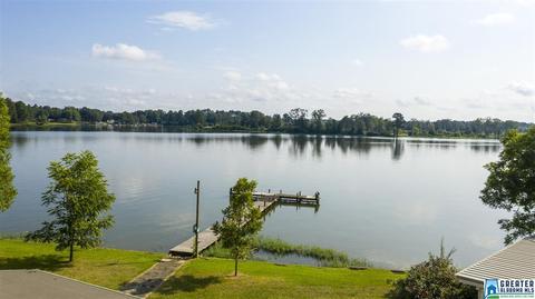 741 Coves Point Dr, Riverside, AL 35135 photo 45