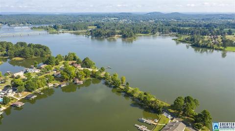 741 Coves Point Dr, Riverside, AL 35135 photo 42