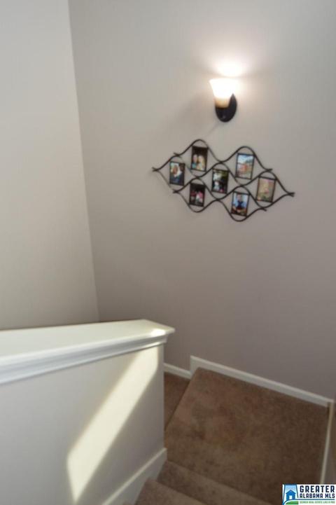9332 Hoffman Pl, Warrior, AL 35180 photo 44