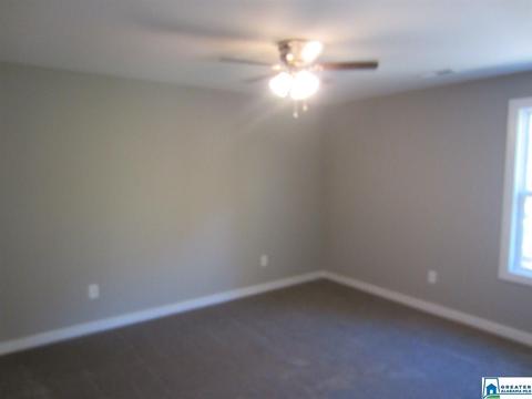 290 Smithfield Ln, Springville, AL 35146 photo 14