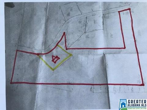 717 Koa Rd, Riverside, AL 35135 photo 50