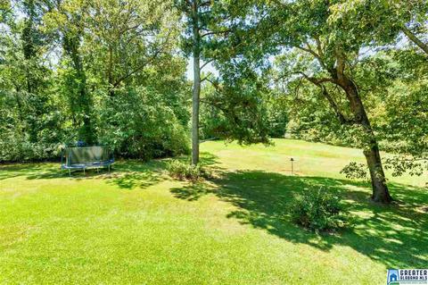 717 Koa Rd, Riverside, AL 35135 photo 41