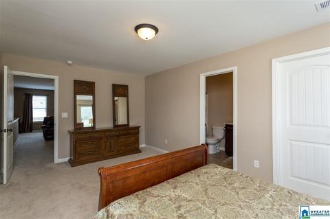 340 Braddock Rd W, Springville, AL 35146 photo 34