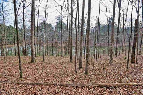 310 Quail Run Dr, Cullman, AL 35055 photo 48