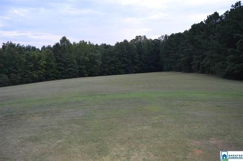 2652 Corner Rd, Warrior, AL 35180 photo 46