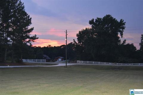 2652 Corner Rd, Warrior, AL 35180 photo 50