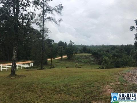 2228 County Road 455, Clanton, AL 35046 photo 15