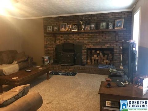 2228 County Road 455, Clanton, AL 35046 photo 4